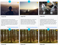 Cards de imagens com bootstrap 5.1.3